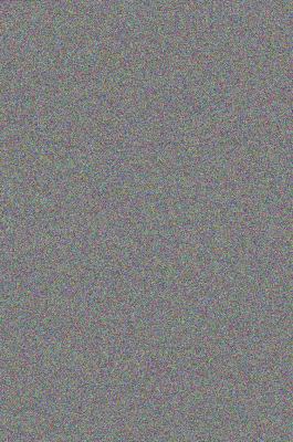 My Garden in Summer 1604690429 Book Cover