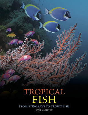 Tropical Fish: From Stingrays to Clown Fish 1838865519 Book Cover