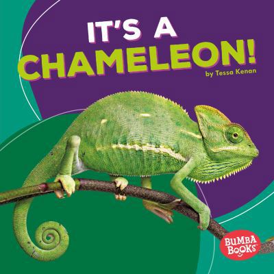 It's a Chameleon! 1512425680 Book Cover