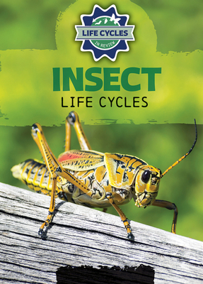 Insect Life Cycles 1978539797 Book Cover