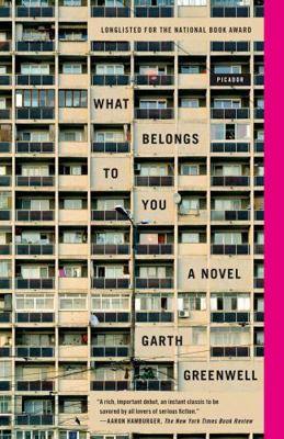 What Belongs to You: A Novel 0374713189 Book Cover