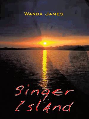 Singer Island 1403317119 Book Cover