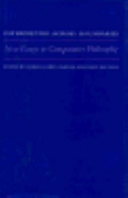 Interpreting Across Boundaries: New Essays in C... 0691073198 Book Cover