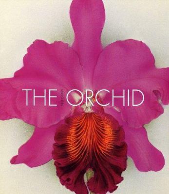 The Orchid: From the Archives of the Royal Hort... 0810904381 Book Cover