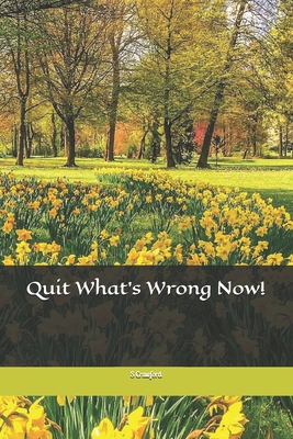 Quit What's Wrong Now! 1711273856 Book Cover