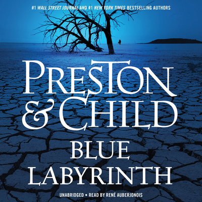 Blue Labyrinth 1478982845 Book Cover