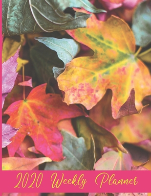 2020 Weekly Planner: Year at a Glance Dated Cal... 1693921308 Book Cover