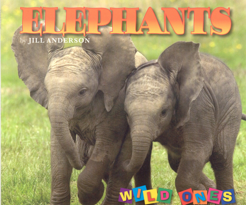 Elephants (Wild Ones) 1559719516 Book Cover