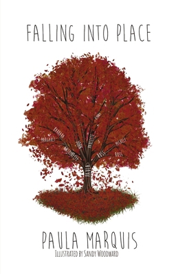 Falling into Place B0D6J2MM53 Book Cover