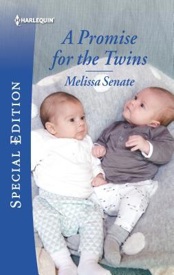 A Promise for the Twins 133557395X Book Cover