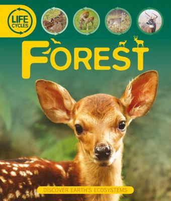 Life Cycles: Forest 0753467410 Book Cover