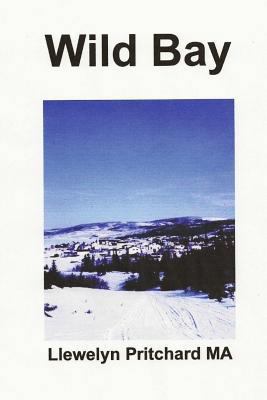 Wild Bay [Yiddish] 1494480816 Book Cover