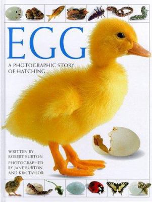 Egg: A Photographic Story of Hatching 1564584607 Book Cover