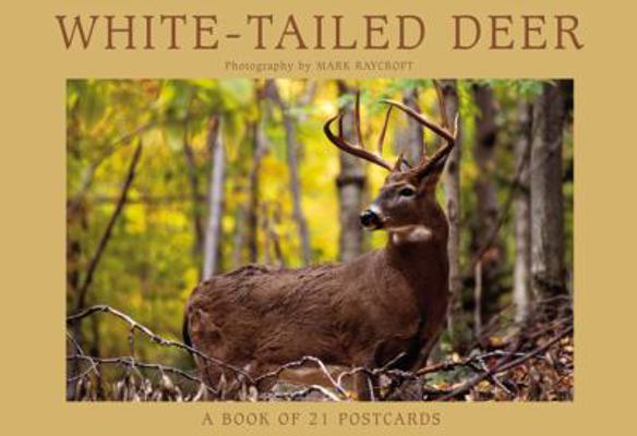 White-Tailed Deer: A Book of 21 Postcards 156313795X Book Cover