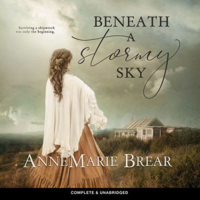 Beneath a Stormy Sky 1787823679 Book Cover