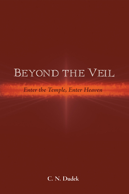 Beyond the Veil 149828244X Book Cover