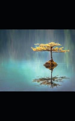 Kindness Book 1723942219 Book Cover