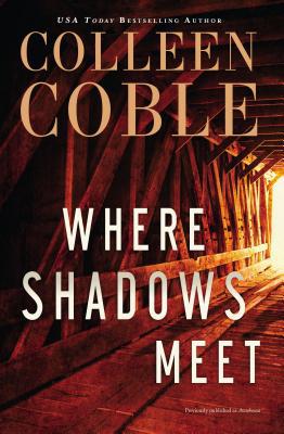 Where Shadows Meet: A Romantic Suspense Novel 0785216650 Book Cover