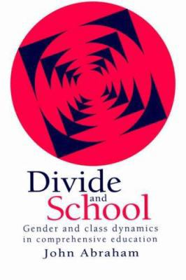 Divide and School: Gender and Class Dynamics in... 0750703911 Book Cover