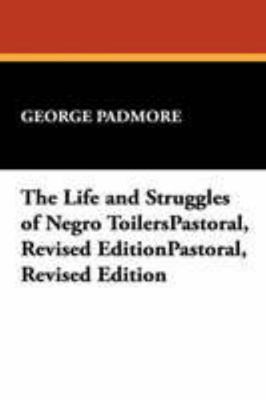 The Beach Boys: Southern California Pastoral, R... 0893704598 Book Cover