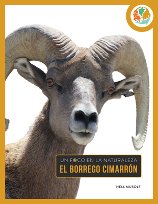 El Borrego Cimarrón [Spanish] B0F546NKC4 Book Cover
