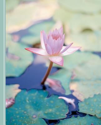 Water Lily Flowers: Diary Weekly Spreads Januar... 1072951134 Book Cover