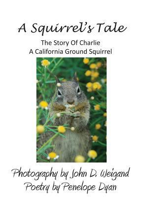 A Squirrel's tale, The Story Of Charlie, A Cali... 1614772185 Book Cover