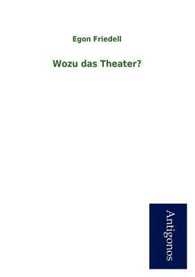 Wozu Das Theater? [German] 3954722909 Book Cover
