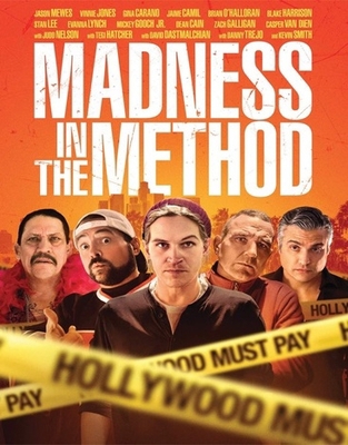 Madness in the Method B07XW7F5VC Book Cover