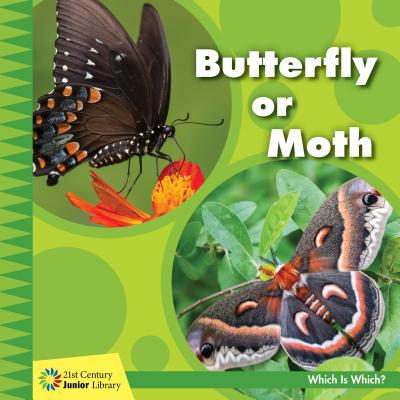 Butterfly or Moth 1534147381 Book Cover