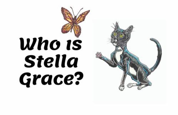 Paperback Who Is Stella Grace? Book
