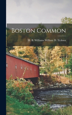 Boston Common 1016768745 Book Cover