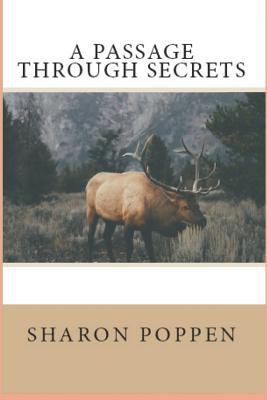 A Passage Through Secrets 1719530556 Book Cover
