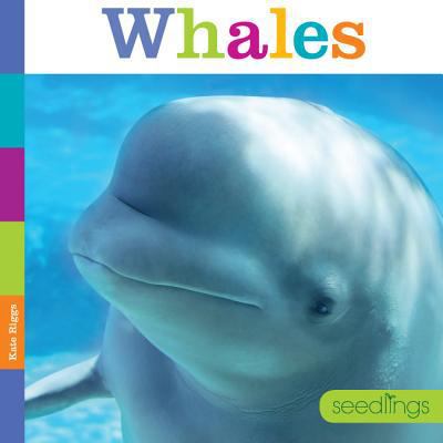 Seedlings Whales 1608185176 Book Cover