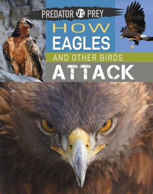 Predator Vs Prey: How Eagles and Other Birds At... 1526314576 Book Cover