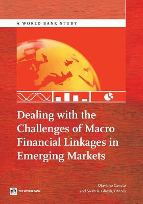Dealing with the Challenges of Macro Financial ... 1464800022 Book Cover