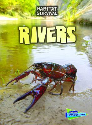 Rivers 1410946002 Book Cover