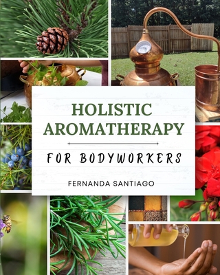 Holistic Aromatherapy for Bodyworkers B0D38GT5JP Book Cover