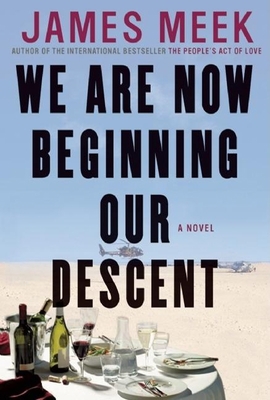 We Are Now Beginning Our Descent: A Novel 1847671764 Book Cover