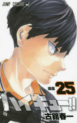 Haikyu!! 25 [Japanese] 4088810198 Book Cover