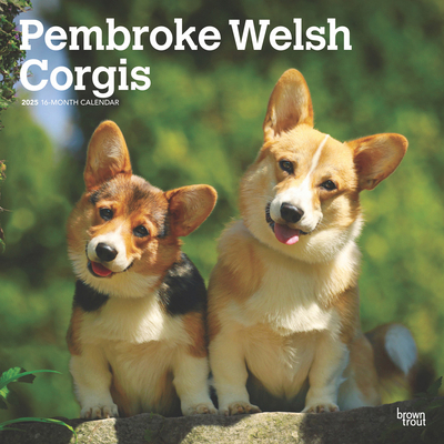 Pembroke Welsh Corgis 2025 12 X 24 Inch Monthly... 1975477960 Book Cover