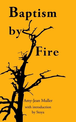 Baptism by Fire B08TSLL8C3 Book Cover