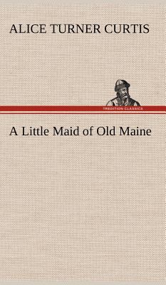 A Little Maid of Old Maine 3849196607 Book Cover
