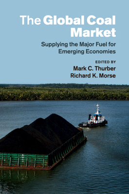 The Global Coal Market 1107465745 Book Cover