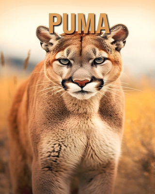 Puma: Découvrez des Informations et des Images ... [French] B0DLVTCHH8 Book Cover