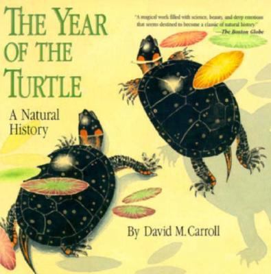 The Year of the Turtle: A Natural History 0312147724 Book Cover