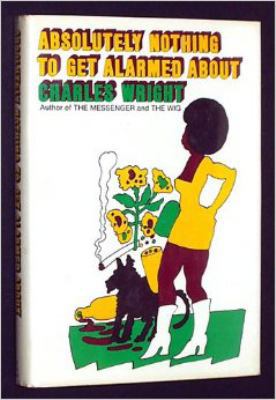 Absolutely Nothing to Get Alarmed About 0374114080 Book Cover