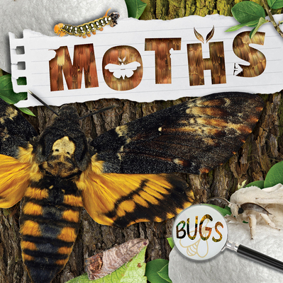 Moths 1534537767 Book Cover