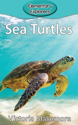Sea Turtles 1947439952 Book Cover