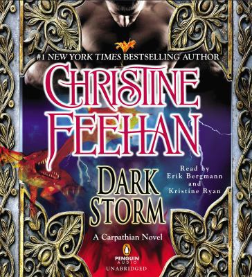 Dark Storm 1611761255 Book Cover